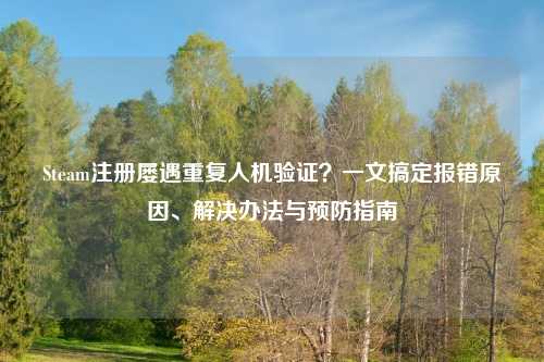 Steam注册屡遇重复人机验证？一文搞定报错原因、解决办法与预防指南