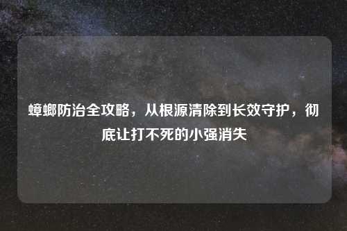 蟑螂防治全攻略，从根源清除到长效守护，彻底让打不死的小强消失