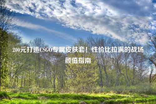 200元打造CSGO专属皮肤套！性价比拉满的战场颜值指南
