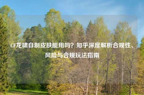 CF龙啸自制皮肤能用吗？知乎深度解析合规性、风险与合规玩法指南