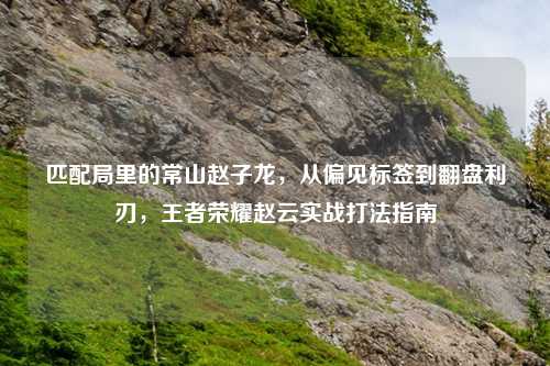 匹配局里的常山赵子龙，从偏见标签到翻盘利刃，王者荣耀赵云实战打法指南
