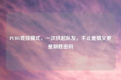 PUBG竞技模式，一次扶起队友，不止是情义更是制胜密码