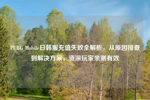 PUBG Mobile日韩服充值失败全解析，从原因排查到解决方案，资深玩家亲测有效