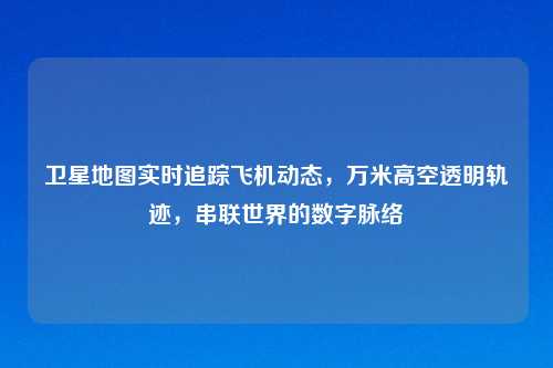 卫星地图实时追踪飞机动态，万米高空透明轨迹，串联世界的数字脉络