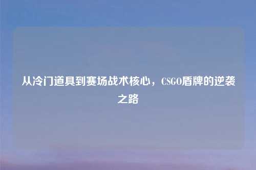 从冷门道具到赛场战术核心，CSGO盾牌的逆袭之路