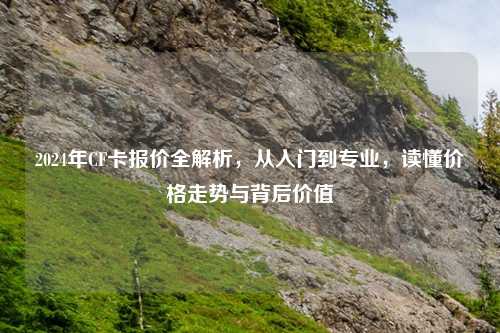 2024年CF卡报价全解析，从入门到专业，读懂价格走势与背后价值