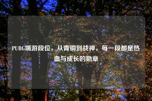 PUBG端游段位，从青铜到战神，每一段都是热血与成长的勋章