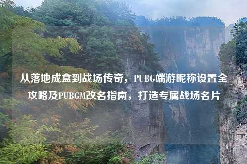 从落地成盒到战场传奇，PUBG端游昵称设置全攻略及PUBGM改名指南，打造专属战场名片