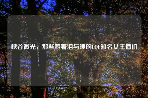 峡谷微光,那些藏着泪与暖的LOL知名女主播们