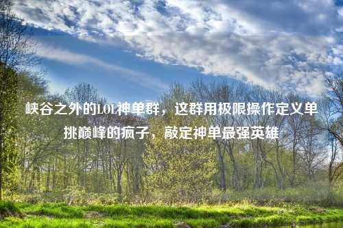 峡谷之外的LOL神单群，这群用极限操作定义单挑巅峰的疯子，敲定神单最强英雄