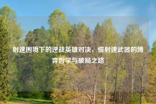 射速困境下的逆战英雄对决,慢射速武器的博弈哲学与破局之路