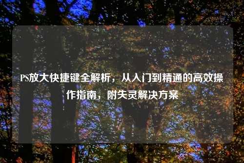 PS放大快捷键全解析,从入门到精通的高效操作指南,附失灵解决方案