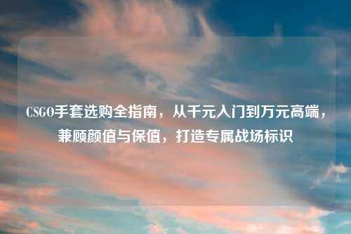 CSGO手套选购全指南,从千元入门到万元高端,兼顾颜值与保值,打造专属战场标识
