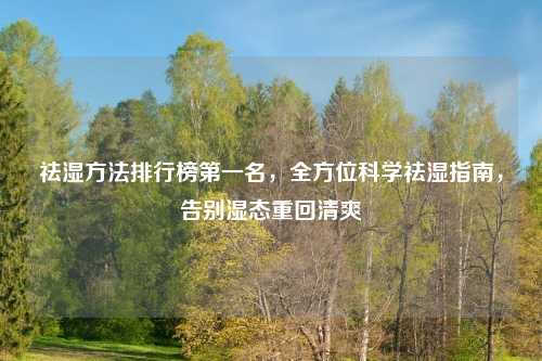 祛湿 排行榜之一名,全方位科学祛湿指南,告别湿态重回清爽