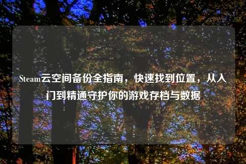 Steam云空间备份全指南,快速找到位置,从入门到精通守护你的游戏存档与数据