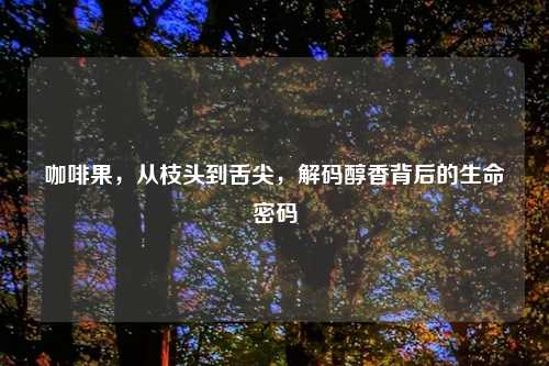 咖啡果,从枝头到舌尖,解码醇香背后的生命密码
