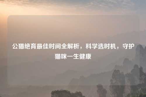 公猫绝育更佳时间全解析,科学选时机,守护猫咪一生健康