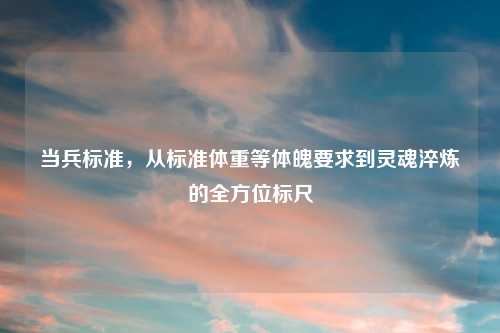 当兵标准,从标准体重等体魄要求到灵魂淬炼的全方位标尺