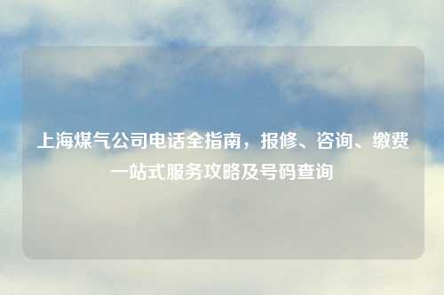 上海煤气公司 全指南,报修、咨询、缴费一站式服务攻略及号码查询