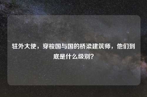 驻外大使,穿梭国与国的桥梁建筑师,他们到底是什么级别?