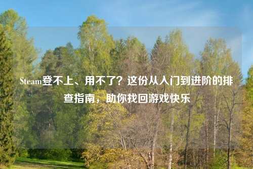 Steam登不上、用不了?这份从入门到进阶的排查指南,助你找回游戏快乐
