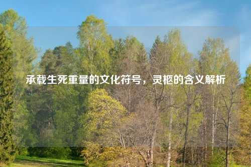 承载生死重量的文化符号,灵柩的含义解析