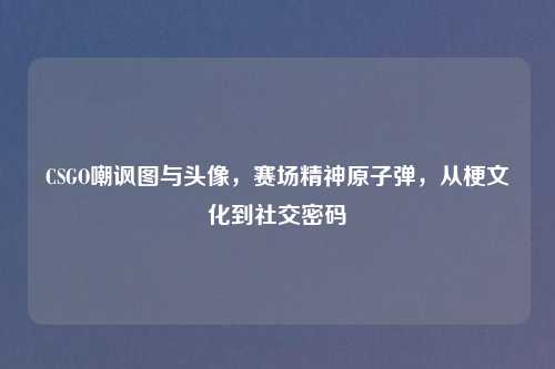 CSGO嘲讽图与头像,赛场精神 ,从梗文化到社交密码