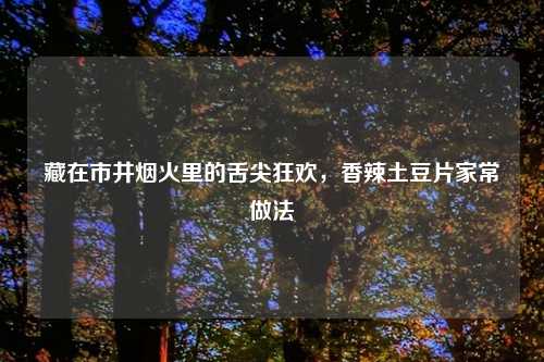 藏在市井烟火里的舌尖狂欢,香辣土豆片家常做法