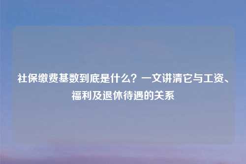 社保缴费基数到底是什么?一文讲清它与工资、福利及退休待遇的关系