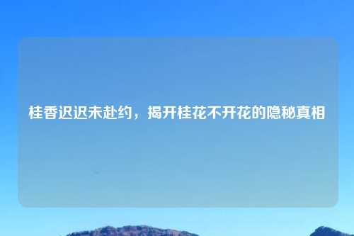 桂香迟迟未赴约,揭开桂花不开花的隐秘真相