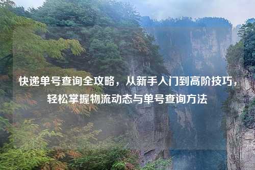 快递单号查询全攻略,从新手入门到高阶技巧,轻松掌握物流动态与单号查询