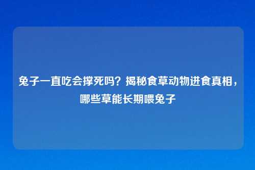 兔子一直吃会撑死吗?揭秘食草动物进食真相,哪些草能长期喂兔子