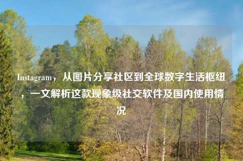 Instagram,从图片分享社区到全球数字生活枢纽,一文解析这款现象级社交软件及国内使用情况