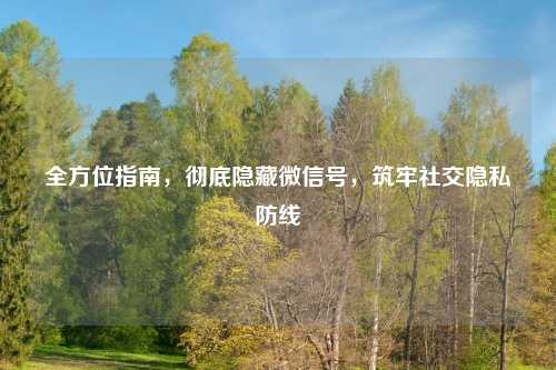全方位指南,彻底隐藏微信号,筑牢社交隐私防线