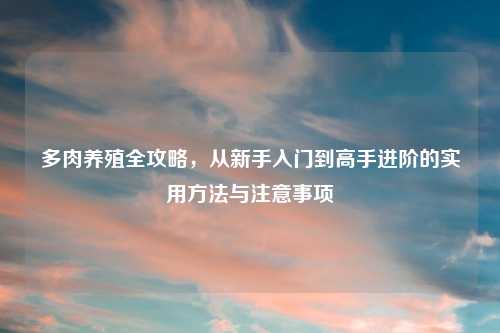 多肉养殖全攻略,从新手入门到高手进阶的实用 与注意事项