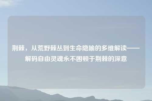 荆棘,从荒野棘丛到生命隐喻的多维解读——解码自由灵魂永不困顿于荆棘的深意