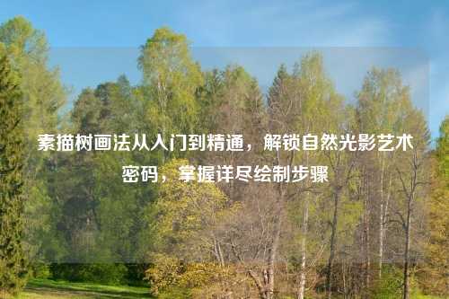 素描树画法从入门到精通,解锁自然光影艺术密码,掌握详尽绘制步骤