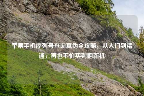 苹果手机序列号查询真伪全攻略,从入门到精通,再也不怕买到翻新机