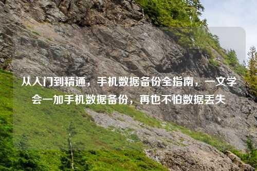 从入门到精通,手机数据备份全指南,一文学会一加手机数据备份,再也不怕数据丢失