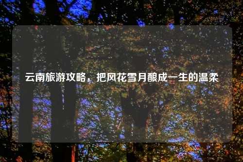云南旅游攻略,把风花雪月酿成一生的温柔