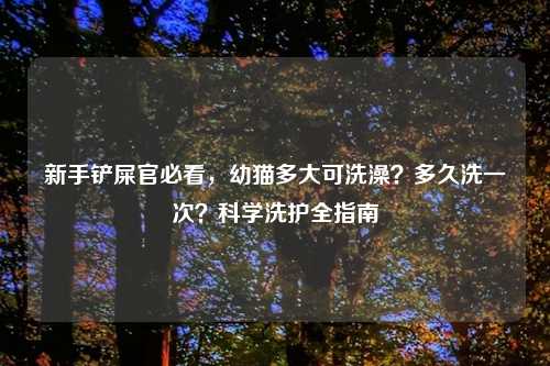 新手铲屎官必看,幼猫多大可洗澡?多久洗一次?科学洗护全指南