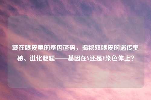藏在眼皮里的基因密码,揭秘双眼皮的遗传奥秘、进化谜题——基因在X还是Y染色体上?