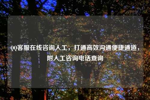在线咨询人工,打通高效沟通便捷通道,附人工咨询 查询
