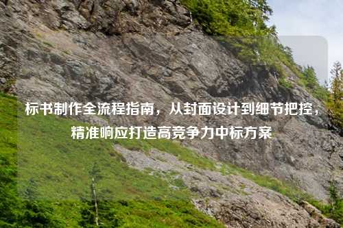 标书 全流程指南,从封面设计到细节把控,精准响应打造高竞争力中标方案