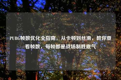 PUBG帧数优化全指南,从卡顿到丝滑,教你查看帧数,每帧都是战场制胜底气
