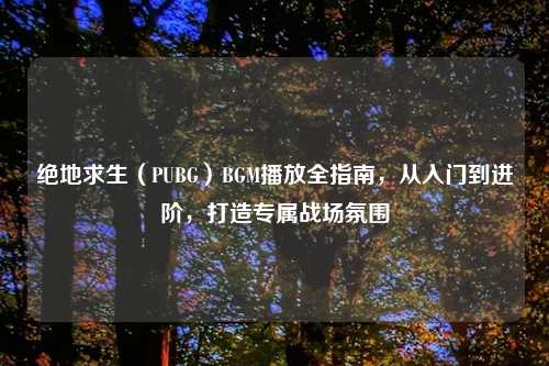 绝地求生(PUBG)BGM播放全指南,从入门到进阶,打造专属战场氛围