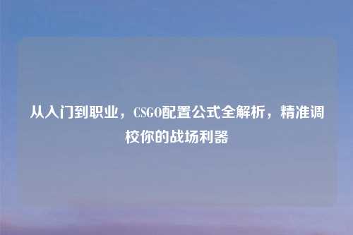 从入门到职业,CSGO配置公式全解析,精准调校你的战场利器