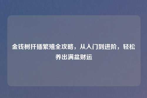 金钱树扦插繁殖全攻略,从入门到进阶,轻松养出满盆财运