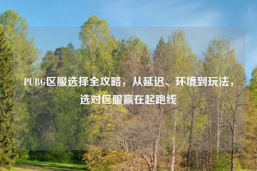 PUBG区服选择全攻略,从延迟、环境到玩法,选对区服赢在起跑线
