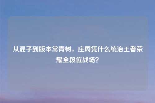从混子到版本常青树,庄周凭什么统治王者荣耀全段位战场?